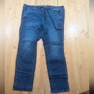 Torrid Womens Blue Denim Jogger Jeans Size 2R Elastic Waist Drawstring 41250437